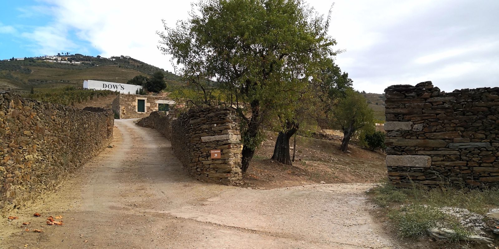 Quinta do Bomfim, Pinhão, from the vineyard road