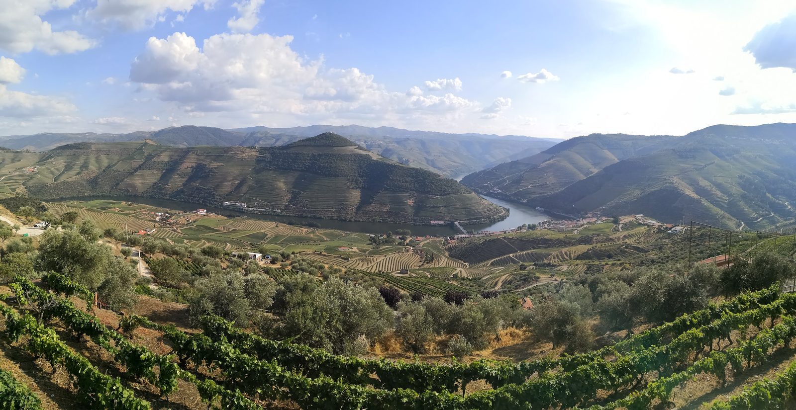 Casal de Loivos viewpoint, Douro bend