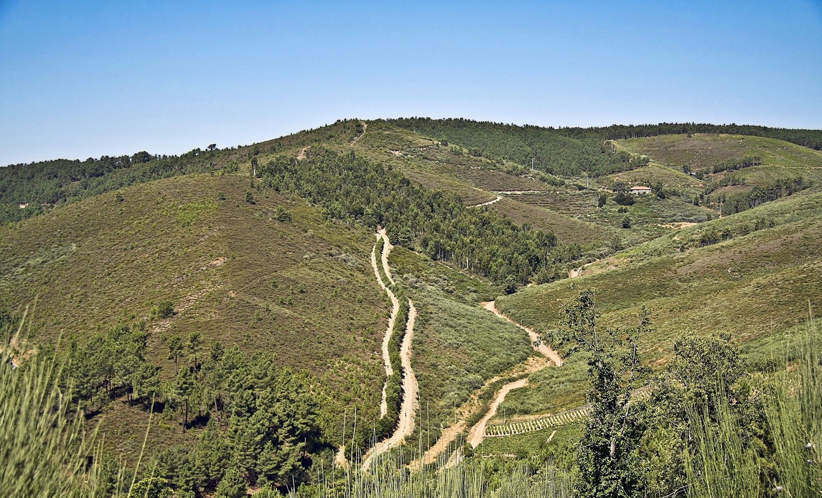 Provesende, São Domingos viewpoint, hillside tracks