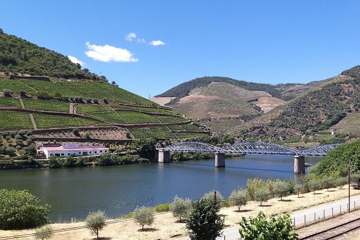 Private Douro Valley Tour with Provesende, Pinhão & Scenic Views, photo 2