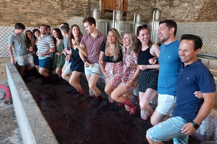 Douro Valley Pinhao Quinta da Foz Tour and Tasting 5 Wines, photo 5