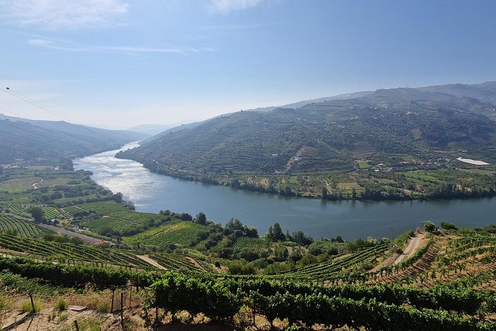 Douro Valley Tour: Wine Tasting River Cruise and Lunch from Porto, photo 4