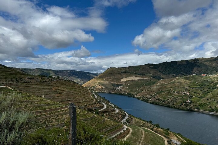Douro Valley Half-Day Winery & Lunch Tour From Porto, photo 4