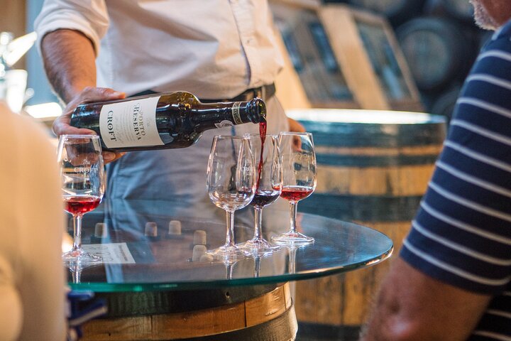 Experience in the Douro: Tua de Rabelo, Quinta, Tasting and Lunch, photo 2