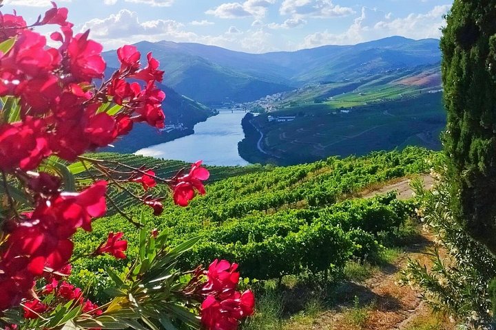 Douro Valley, Relaxed Departure from Porto, photo 2