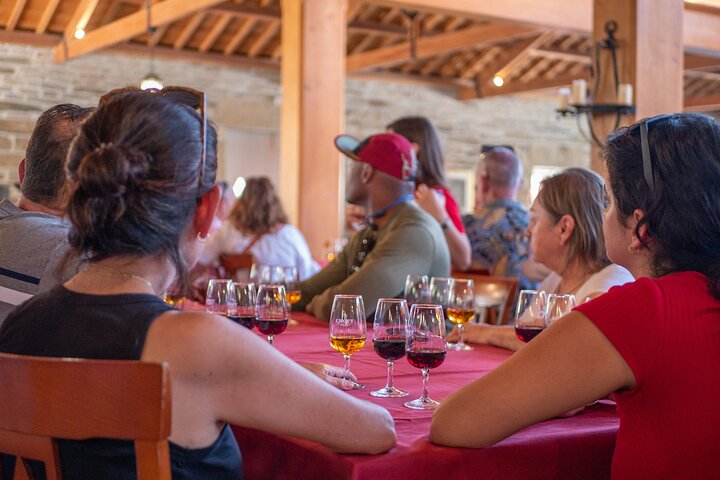 Complete Douro Valley Wine Tour with Lunch, Wine Tastings and River Cruise, photo 3