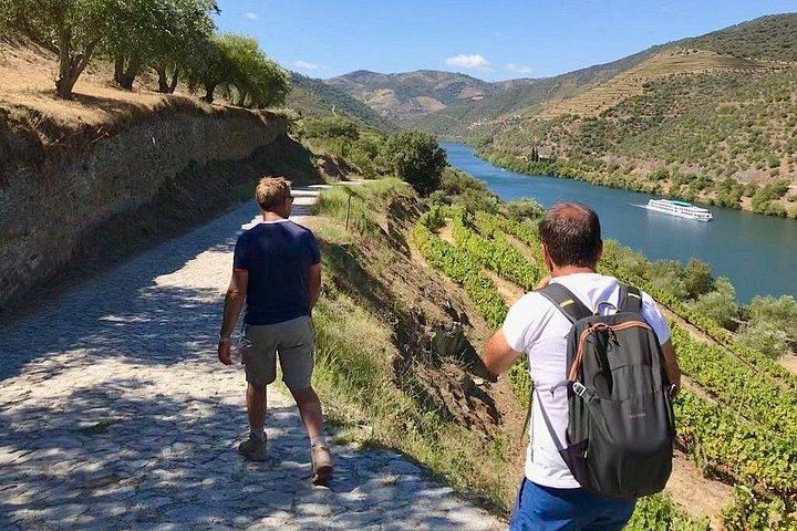 Douro Valley Hiking Tour & Picnic Lunch