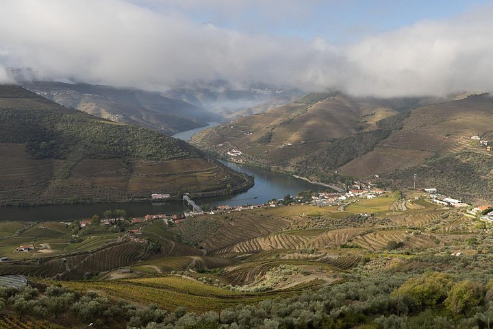 Douro Valley Hiking Tour & Picnic Lunch, photo 2