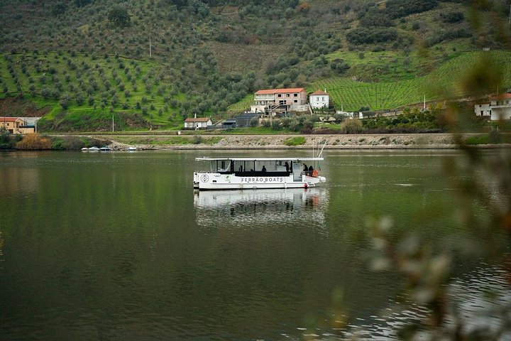 Douro Premium, photo 3