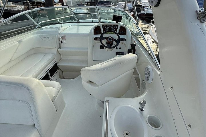 Quiet private yacht cruise along the bridges of the Douro River, photo 4