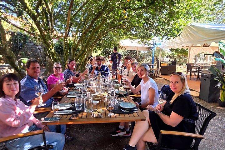 Douro Valley Small-group tour: 2 Wineries, Lunch & Cruise, photo 5