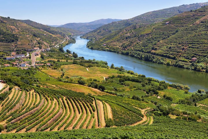 Douro Valley Wine Tour with Amarante: 2 Wineries, Lunch & Cruise