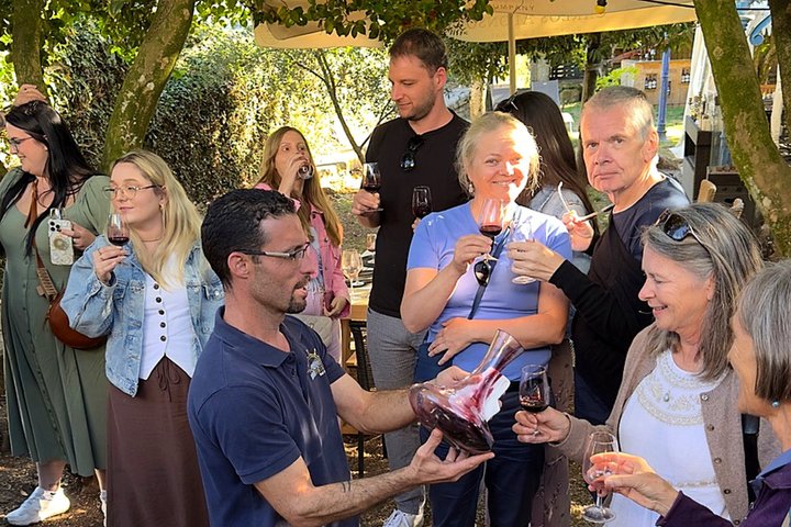 Douro Valley Small-group tour: 2 Wineries, Lunch & Cruise, photo 3