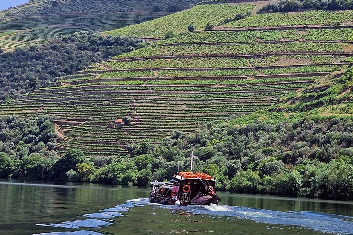 Douro Valley-Expert Guide-Boat-Lunch-Tastings-Offer wine bottle, photo 5