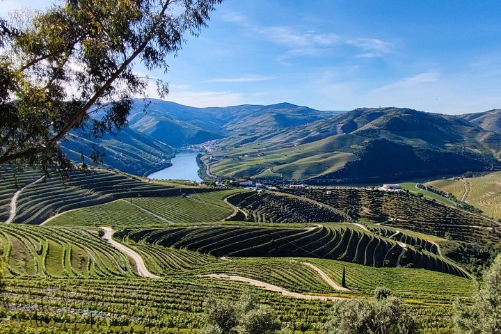 An enchanting discovery in the Douro Valley, photo 5