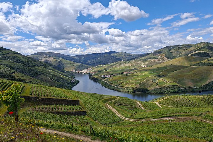 Douro Valley Private Premium Tour with Wine Tasting (1 to 4 people), photo 2