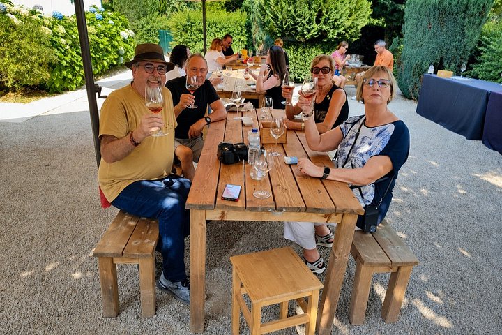 From Porto: Small-Group Douro Valley Tour with 4 Wineries, photo 5