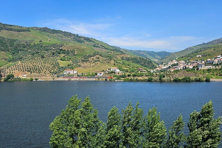 Half-Day Douro Valley Tour with Winery Lunch & River Cruise, photo 5
