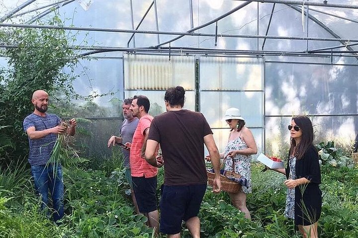 Traditional Cooking Class, Farm Tour & Lunch in the Douro Valley, photo 3