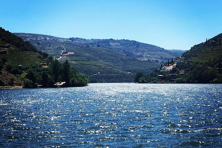 Douro Valley Small-Group Tour: Two Winery, Lunch & Boat Trip, photo 2