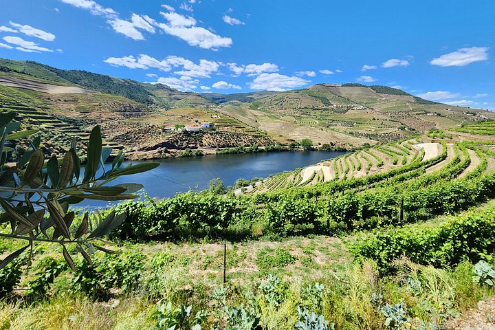 Douro Valley Private Tour (winery + boat + viewpoint), photo 5
