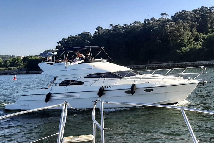 PORTO : Premium Yacht Tour, 6 Bridges & Douro Estuary Reserve, photo 5
