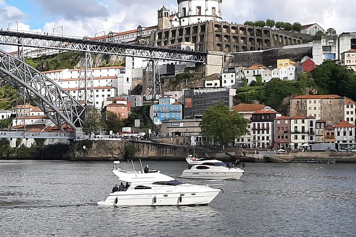 PORTO : Premium Yacht Tour, 6 Bridges & Douro Estuary Reserve, photo 2