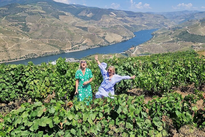 Douro Valley-Expert Guide-Boat-Lunch-Tastings-Offer wine bottle, photo 4