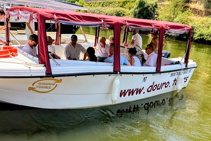 Porto: Douro Valley Small-Group Tour, 2 Wineries, Cruise & Lunch, photo 3