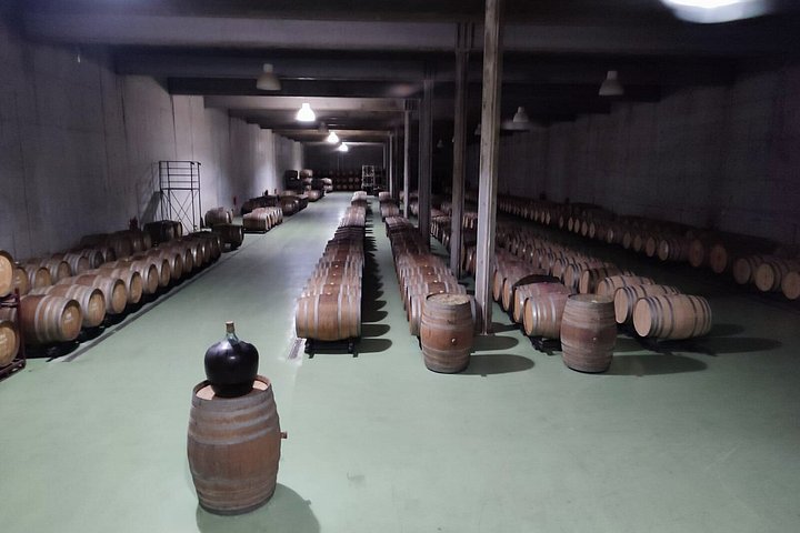 From Porto: Small-Group Douro Valley Tour with 4 Wineries, photo 3