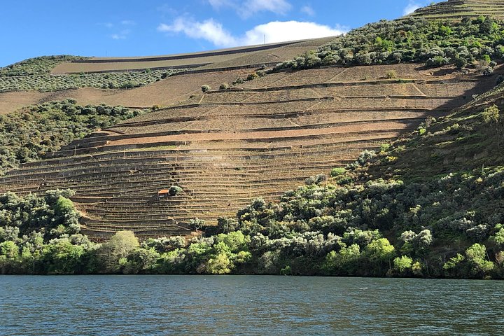 Douro Valley private wine tour | tastings and lunch included, photo 3