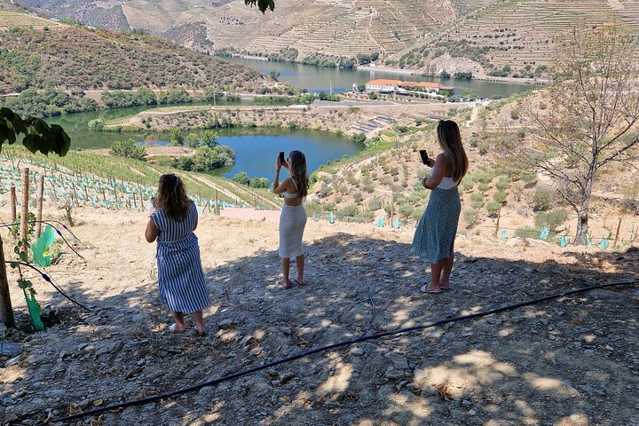 Douro Valley Tour with Train and Vinho Verde, photo 2
