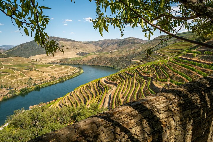 Douro Valley Small-Group Wine Tour with Lunch and River Cruise, photo 2