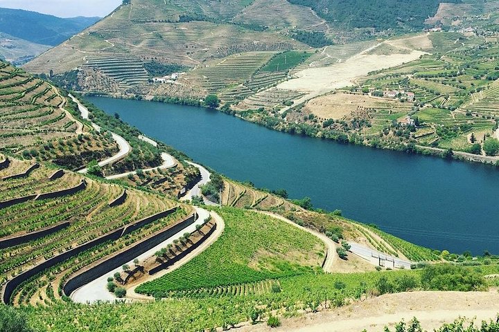 Private Douro Tour from Porto: Optional Wine Tastings & Lunch, photo 5