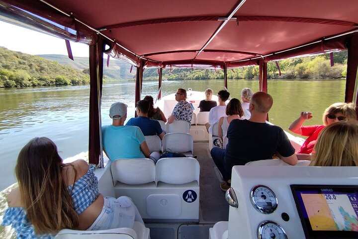 3-Hour Tour to Discover Pinhão, Moment of Discovery, photo 3