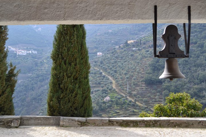 Small-Group Douro Valley Tour: 3 Wineries & Winery Lunch, photo 4