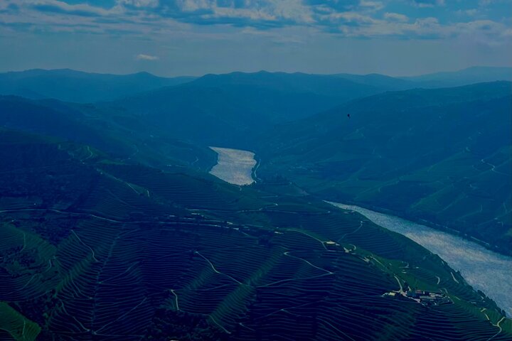 Douro Premium, photo 4