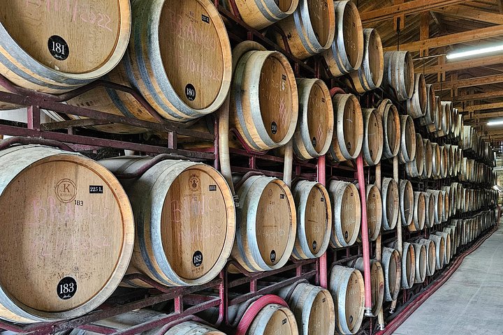 Tour or Disposal- Douro Valley Wine Region with a Sommelier, photo 4