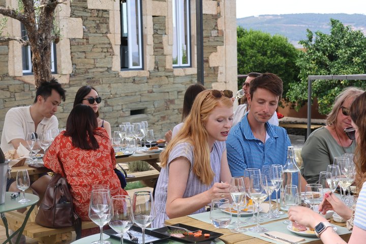 Douro Valley: Half-Day Tour w/ Brunch, Tastings & 1-h Cruise