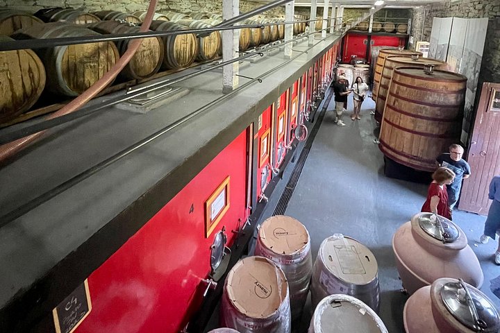 Private Douro Tour with Lunch Wine Tasting Boat and Train Cruise, photo 5