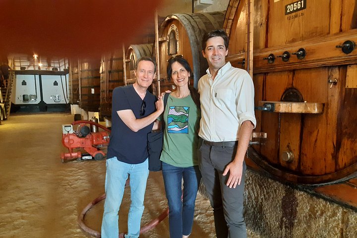 Private Douro Valley Tour with Sommelier, Lunch and Wine Tasting, photo 3