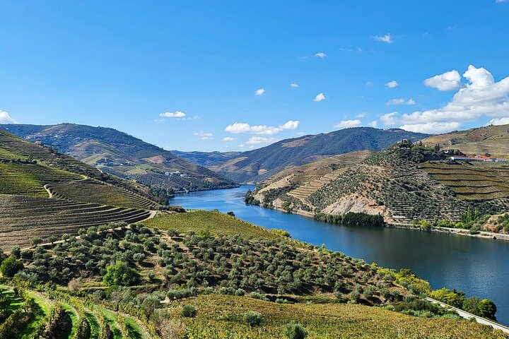 Douro Valley Private Tour (winery + boat + viewpoint), photo 2