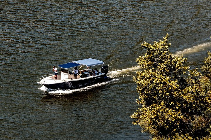 Pinhão: Douro River Cruise with Lunch Included, photo 3