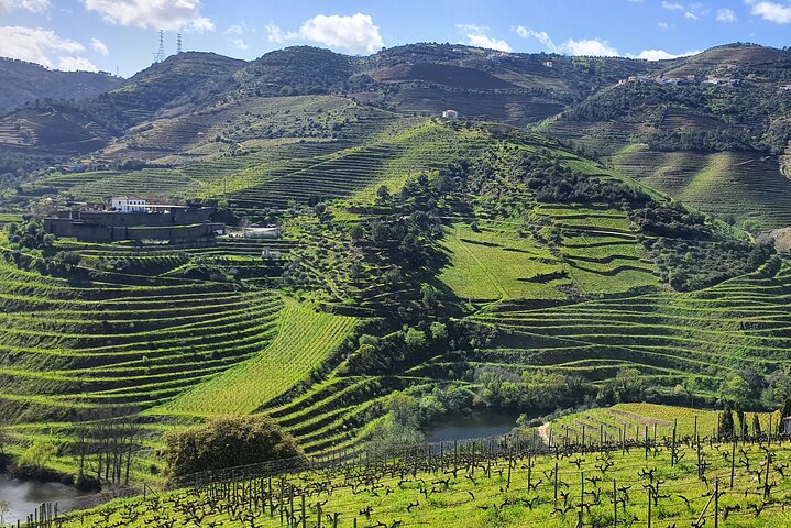 Douro Valley Tour with Train and Vinho Verde, photo 5