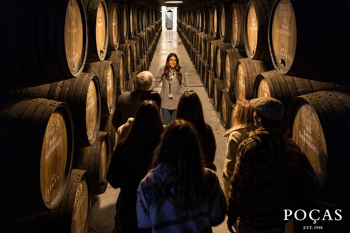Poças Guided Visit and Wine Tasting of 2 DOC Douro & 1 Port Wine, photo 2