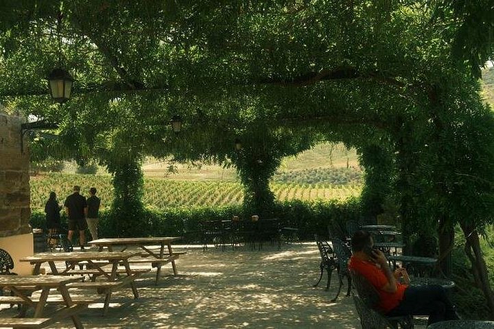 Private Douro Valley Tour with Lunch & Wines, photo 4