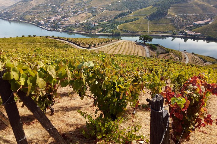 Private off the beaten Douro Valley Wine Tour, photo 4