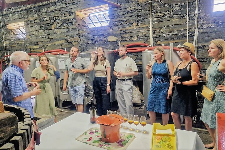 Douro Valley-Expert Guide-Boat-Lunch-Tastings-Offer wine bottle, photo 3