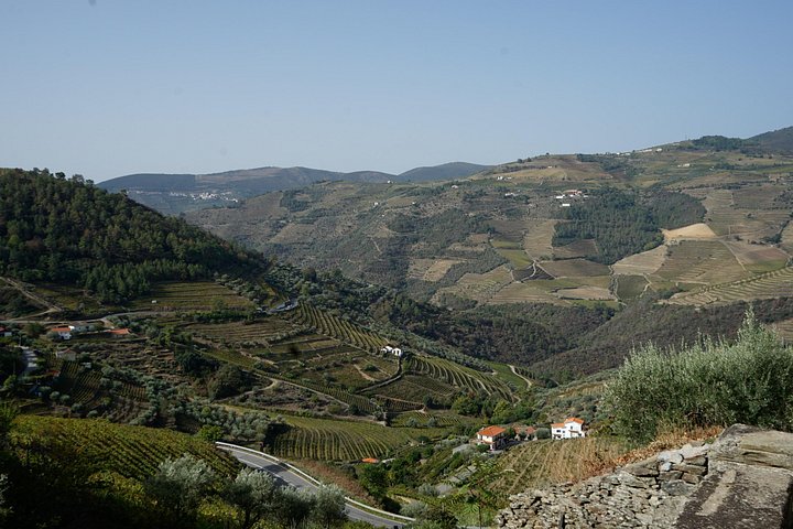 HIKING in the Douro Valley, photo 3