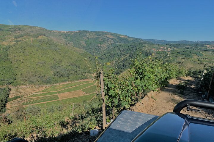 Winery Tour and Wine Tasting Quinta da Portela de Baixo in Lamego, photo 4